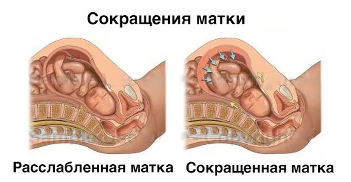 Секс после родов