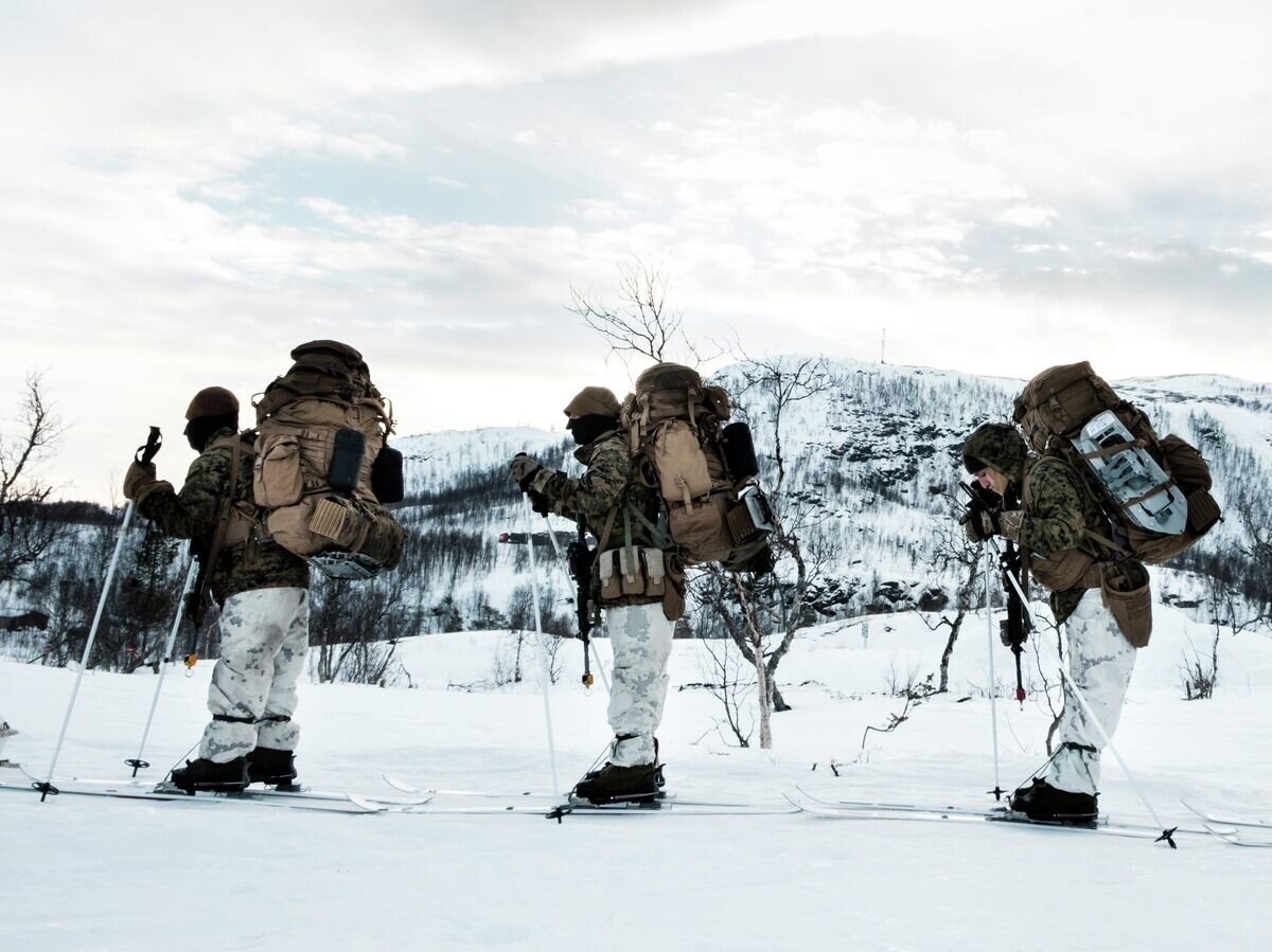    Американские военные во время учений НАТО в Норвегии© Фото : NATO