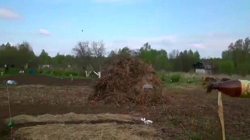 Не забрасывайте свои земельные участки! Возрождение проекта Сапуново. Первые посадки. 17052017.