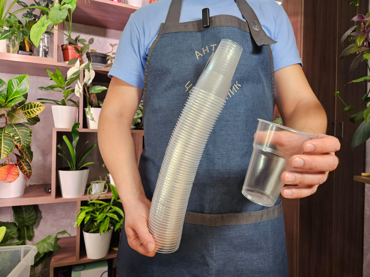 Вот такие стаканы идеальны для рассады