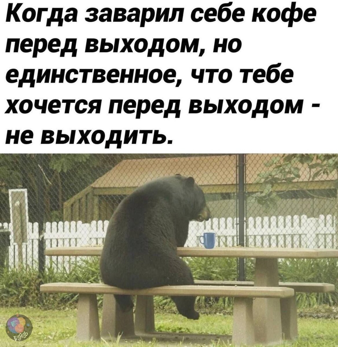 Картинка из интернета 😉😁