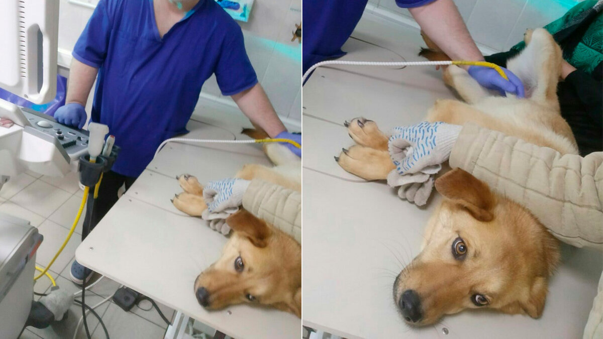 Ронни, в клинике, у неё проблемы с кишечником