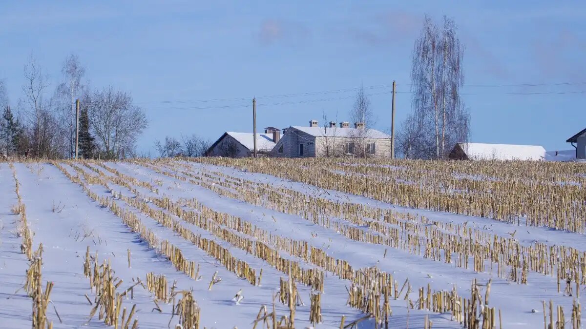 Фото:© Виталий Рыбалко / Glavagronom.ru В Татарстане за год прекратили работу 148 КФХ