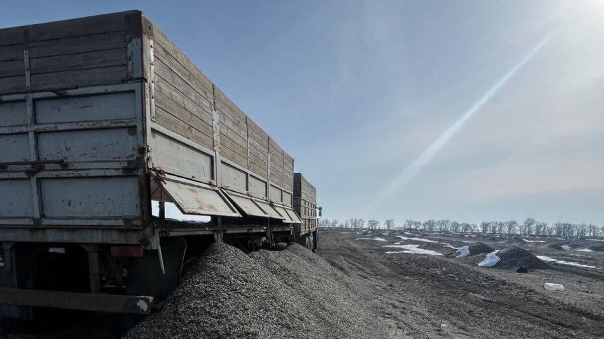    Под Саратовом сельские земли завалили шелухой от подсолнечника Новости Саратова и области – Сетевое издание «Репортер64»