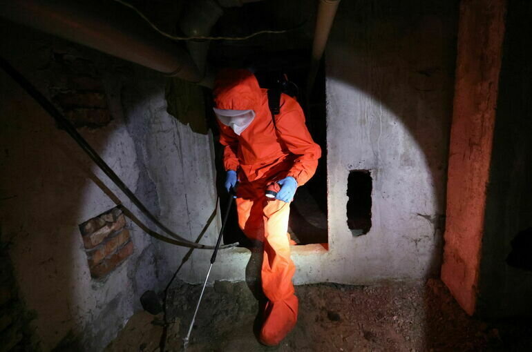   Алексей Коновалов/ТАСС