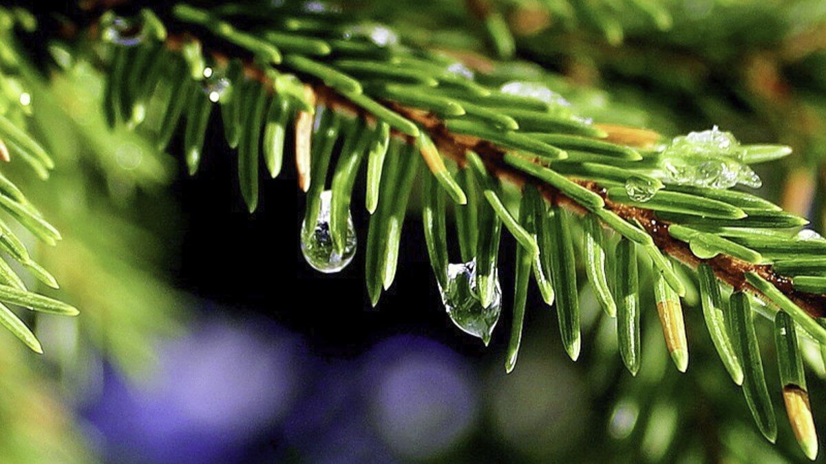 5. Apple macbook pro 13" (m1, 2020). Macbook pro 2022. Macbook pro m2 2022. Macbook pro m1 2020.