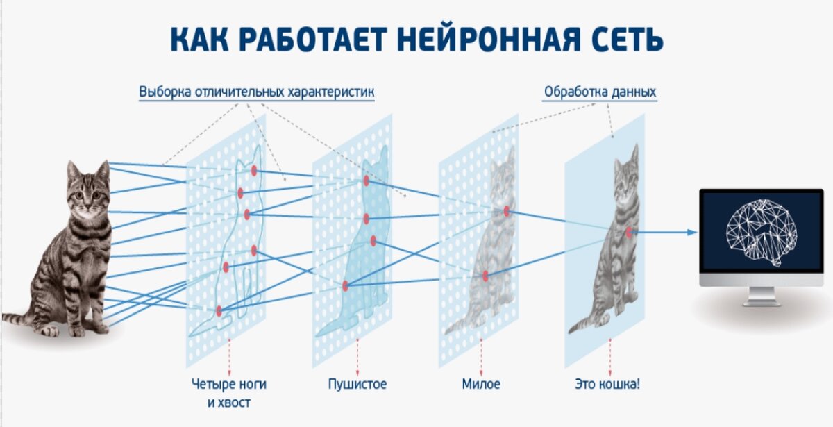 Нейросети могут анализировать данные о здоровье глаз пациента, чтобы разрабатывать персонализированные планы лечения