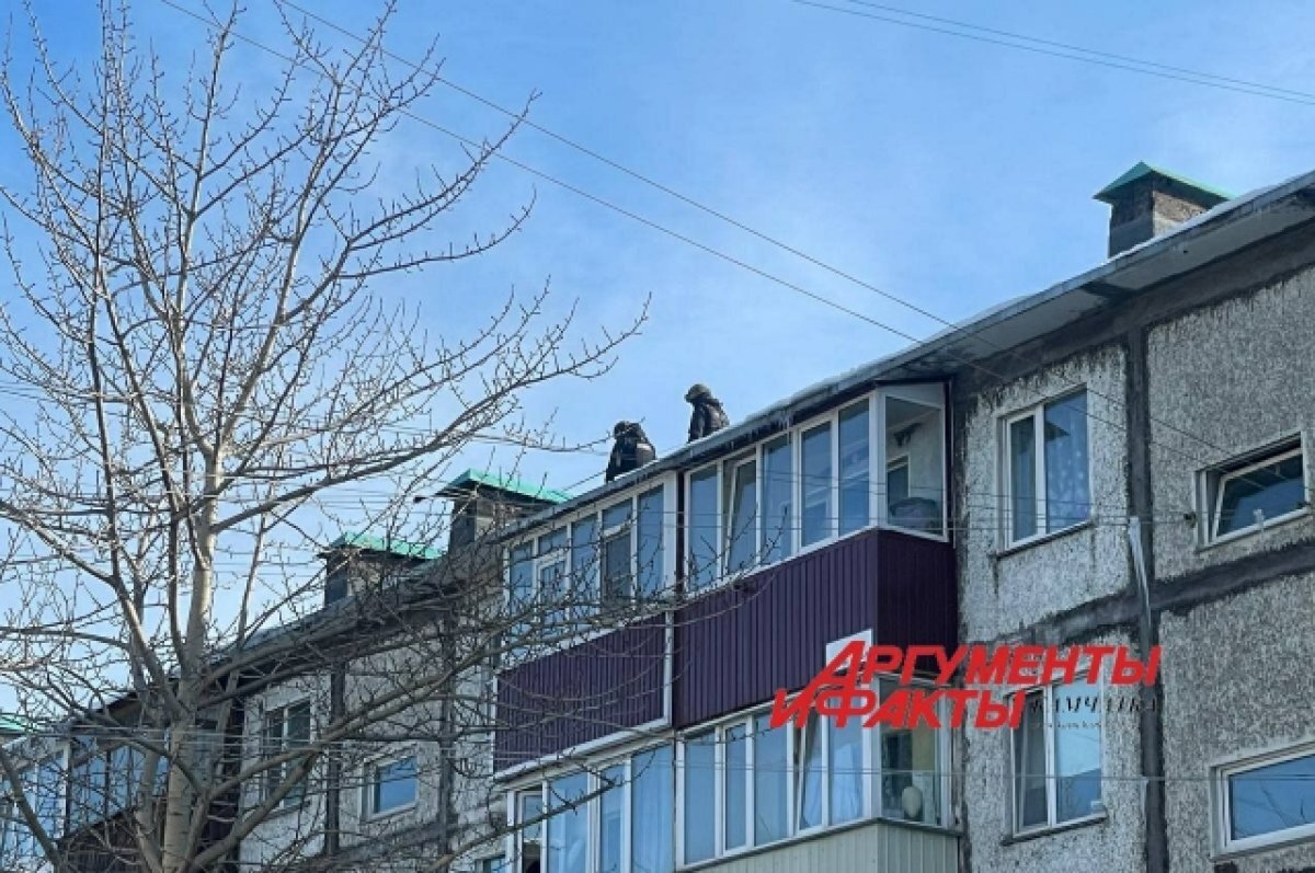    Силовики на Камчатке готовятся к штурму квартиры с заложницей