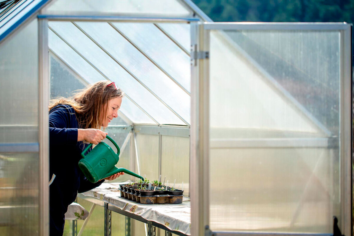 Небольшая теплица домиком