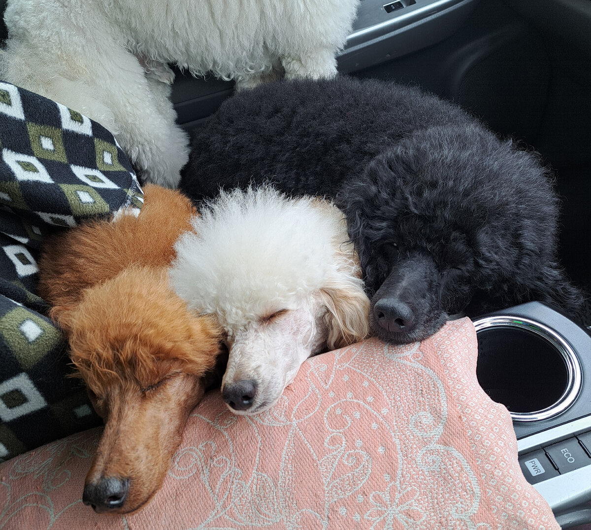 Эй, мать, ты чего задумала? Какая диета?