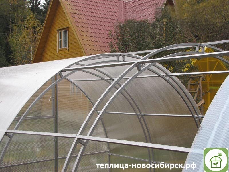 Когда устанавливать теплицу