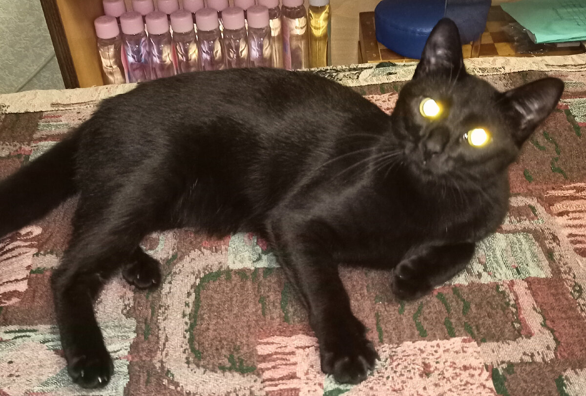 Страшно ли вам, человечишки?!