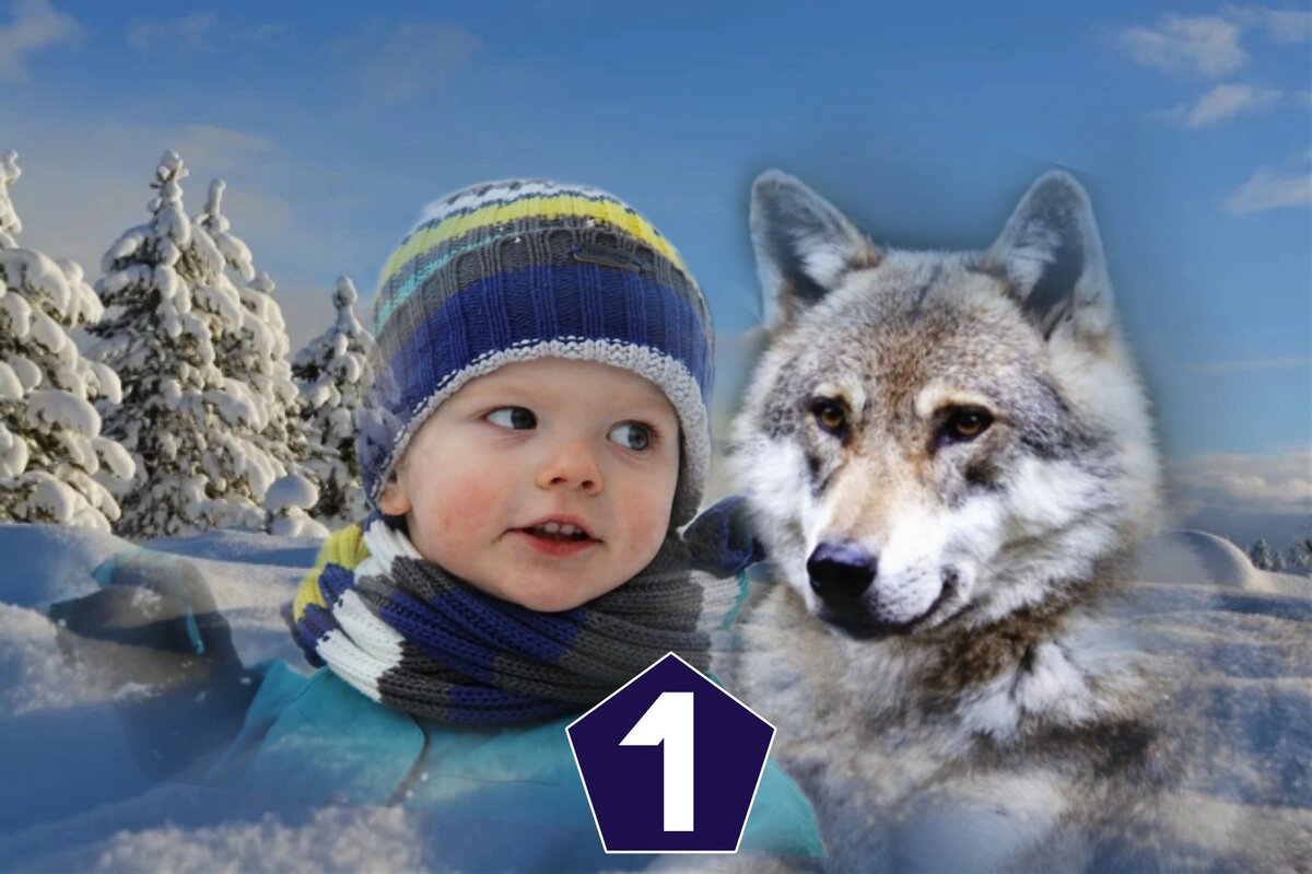 Волчонок. Глава 1