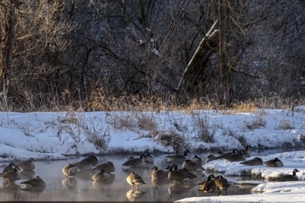    Жительница Бурятии решила сократить путь через поле и заблудилась