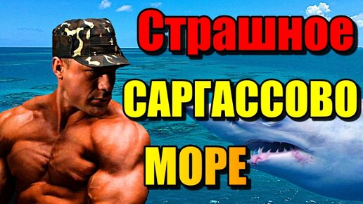 СТРАШНОЕ САРГАССОВО МОРЕ!!! МОРЕ БЕЗ БЕРЕГОВ!!!