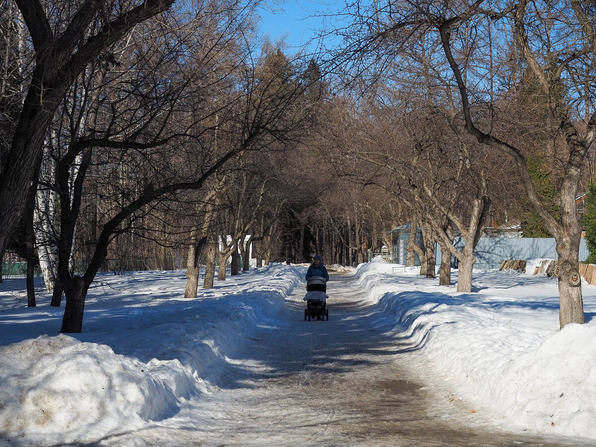 В дневные часы воздух прогреется до плюсовых температур.  Фото: ФедералПресс / Антон Федулов