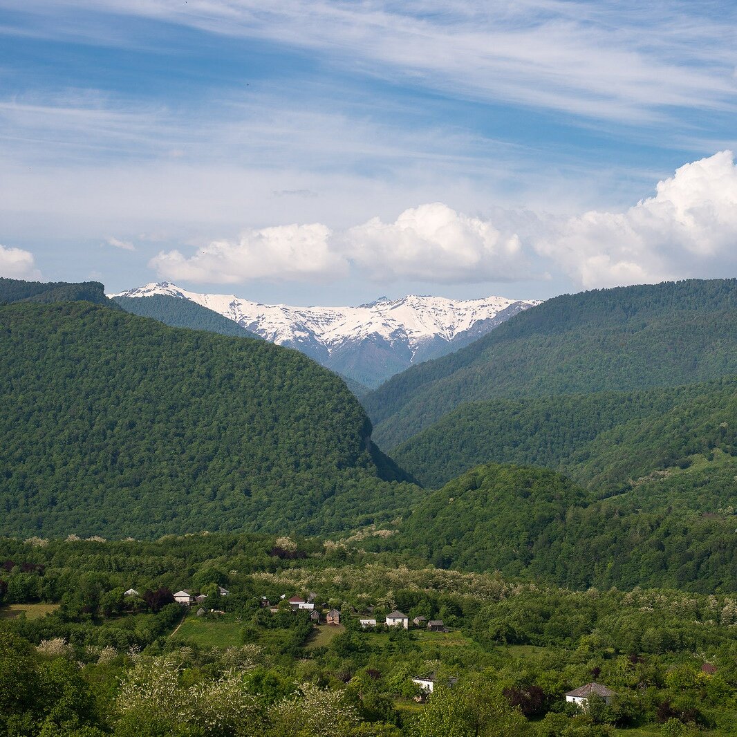 фото из интернета