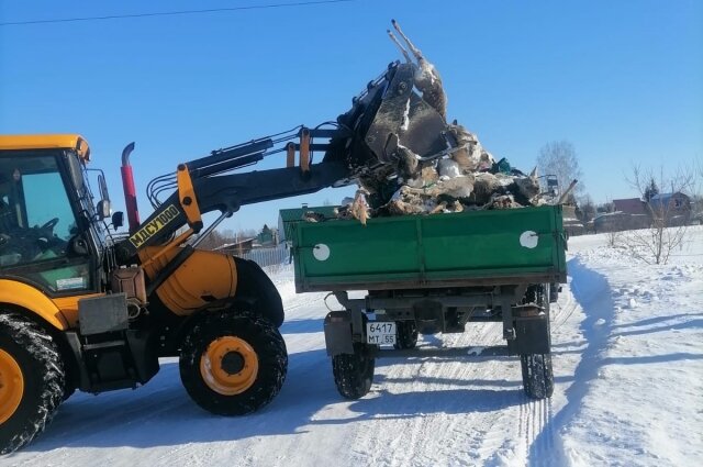    Тела животных массово вывозят с территории СНТ. Фото: Из личного архивa/ Екатерина Аникина