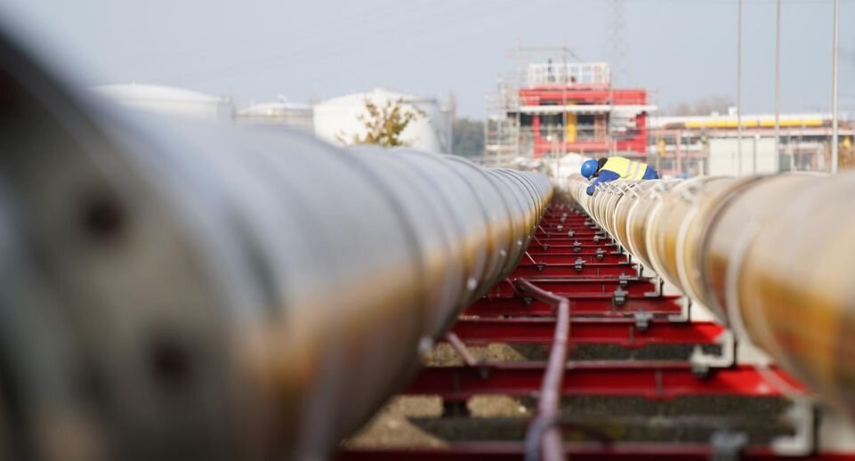    Marcus Brandt/dpa/globallookpress