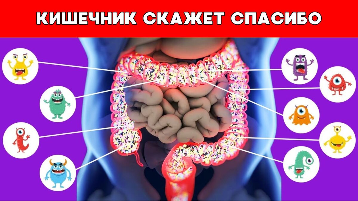 Здоровый кишечник в зрелом возрасте: 5 ключевых стратегий для мужчин и  женщин старше 40 | Томаш Игорь | Pro Training | Дзен