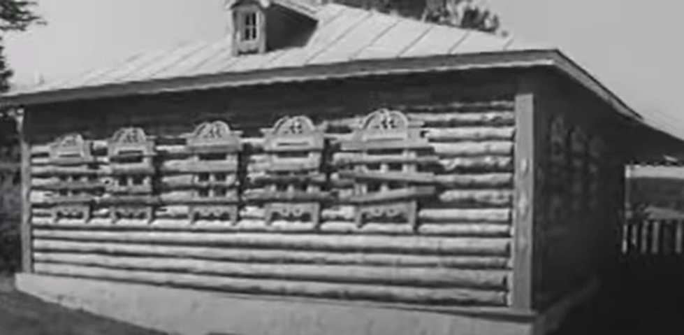 Кадр из фильма. Дом, где больше нет хозяев