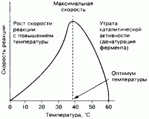 График из интернета