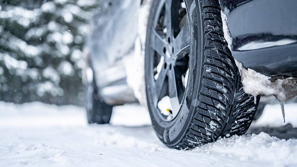    Фото: Shutterstock