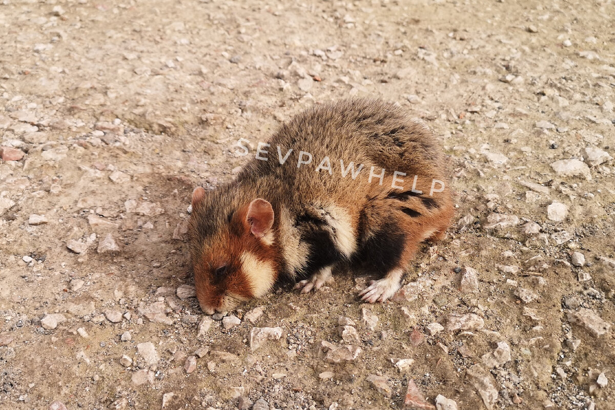 Наша первая встреча 