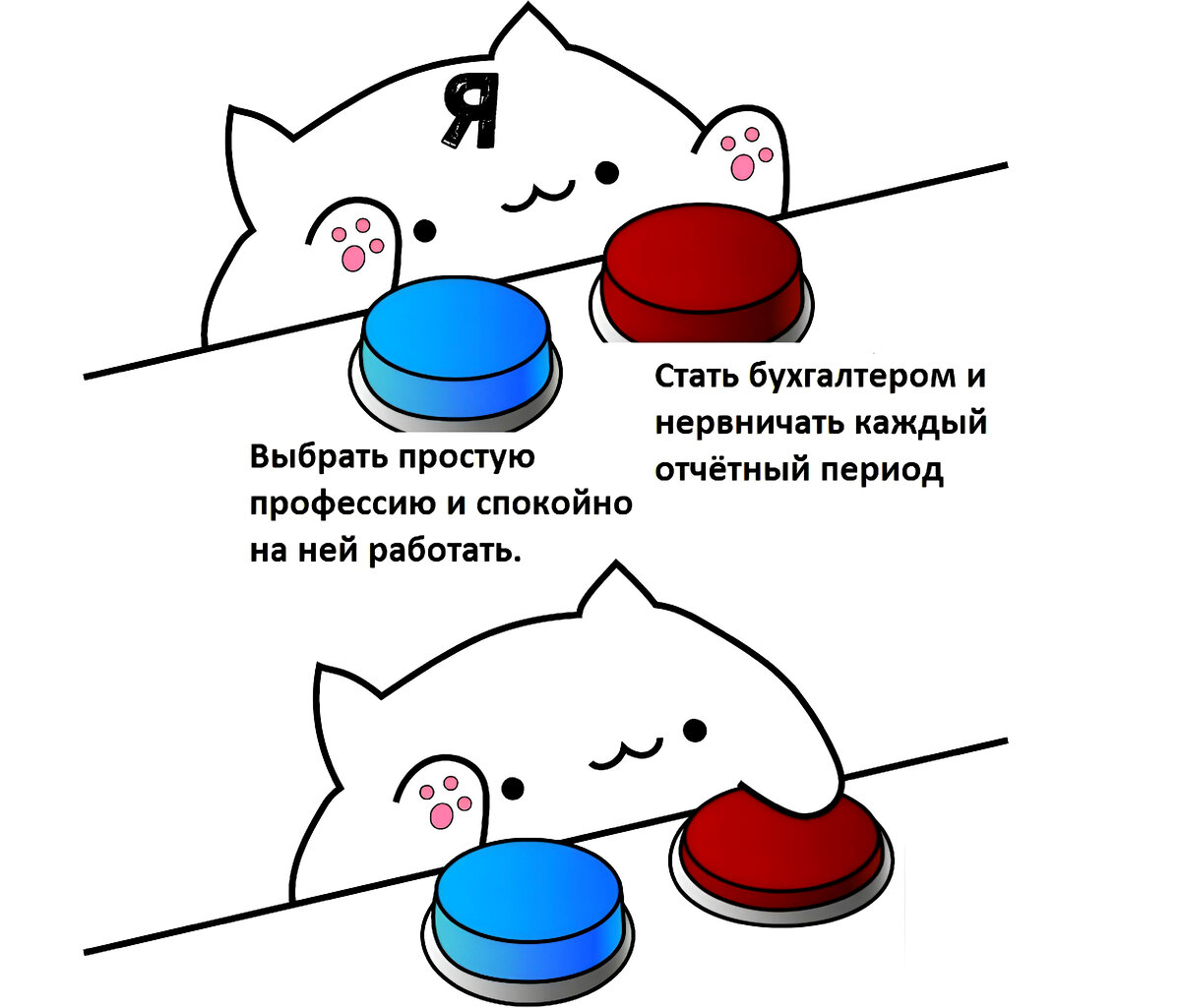 «Стать бухгалтером и нервничать каждый отчетный период»