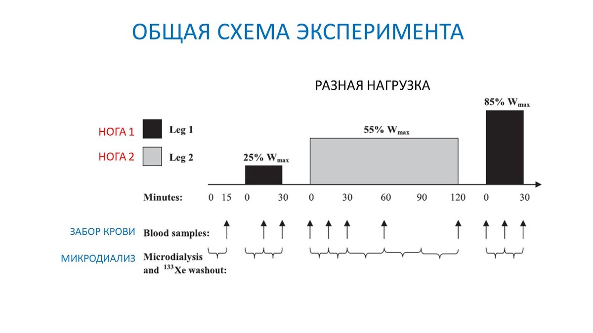 Рисунок 1. Общая схема эксперимента.