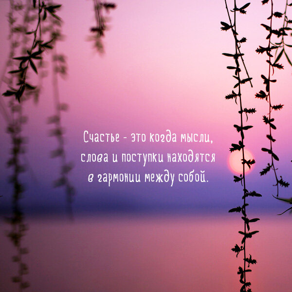 яндекс картинки
