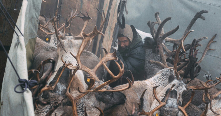 Фото: Борис Зенин 