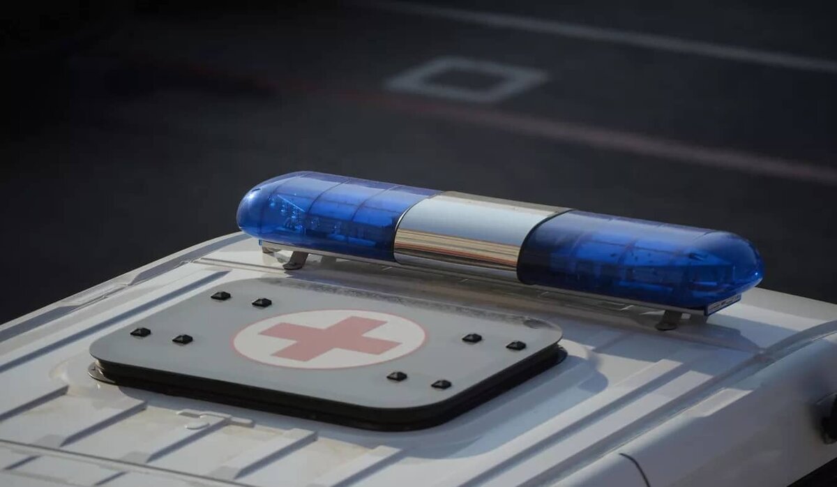 Фото: РИА "Новости" (https://cdnn21.img.ria.ru/images/07e4/0a/02/1578126443_0:317:3077:2047_640x0_80_0_0_e8ba4e8d68798d8603b2e61fb481cb29.jpg.webp)