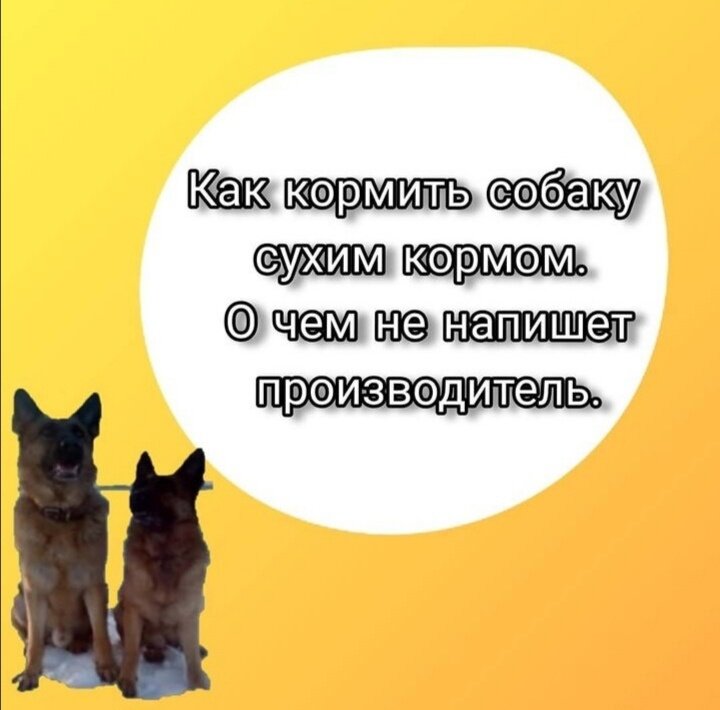    Как правильно кормить сухим кормом. Казалось бы, что может быть проще - купил, отмерил по весу собаки, насыпал в миску, и все довольны. Но откуда тогда толстые и худые собаки?