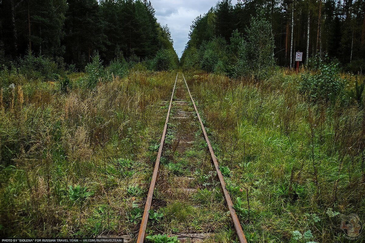 К сожалению, узкоколейные железные дороги постепенно исчезают из нашей реальности. Обыденность становится диковинкой. Особенно мало узкоколейки осталось в центральной части России и Подмосковье.