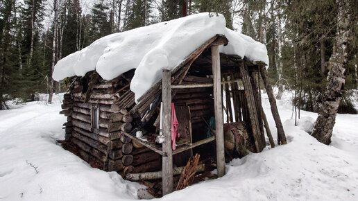 Заброшенный дом в лесу. Очень старая изба прошлого века