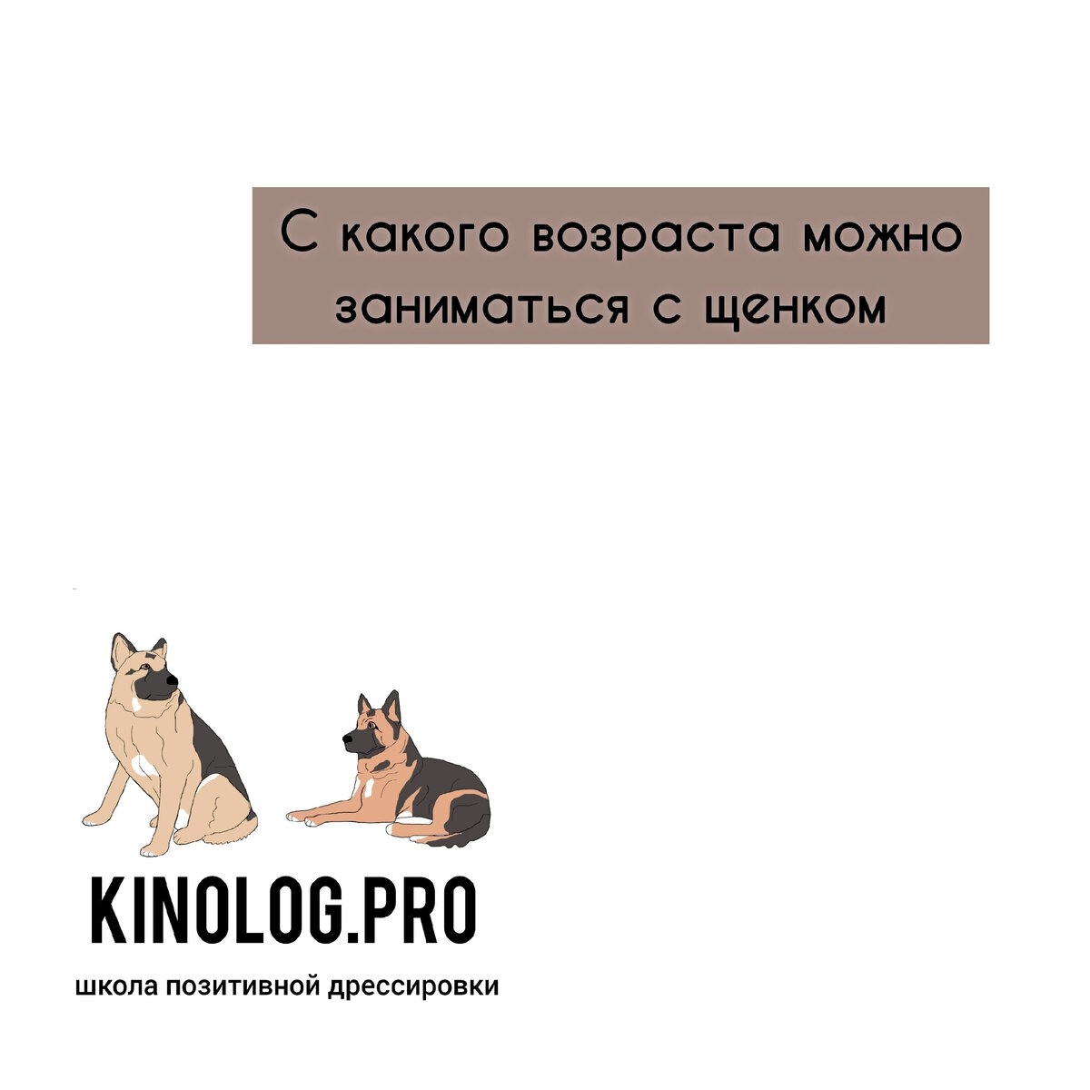 С какого возраста можно заниматься с щенком. | KINOLOG.PRO | Дзен