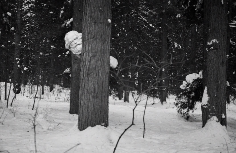 Ку-ку, Карл! Фото, печать. 2017