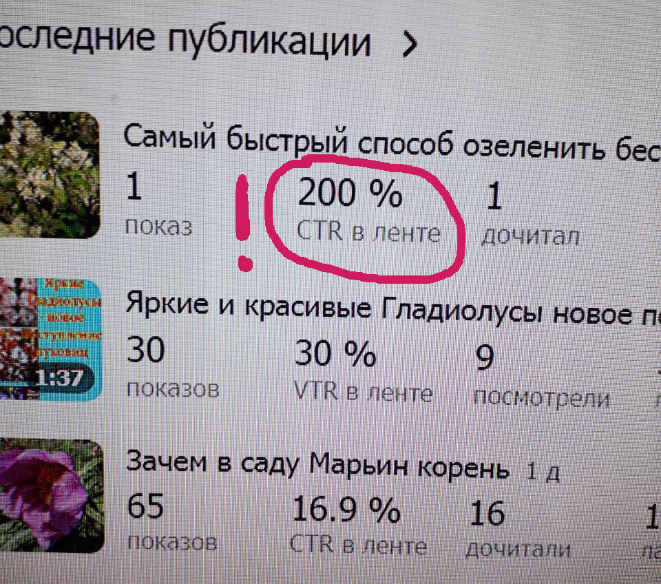 Это фото больше для интереса! Все пишут, что надо стараться повышать CTR для статьи! Вот! Показываю, как я его повысила! - моё фото