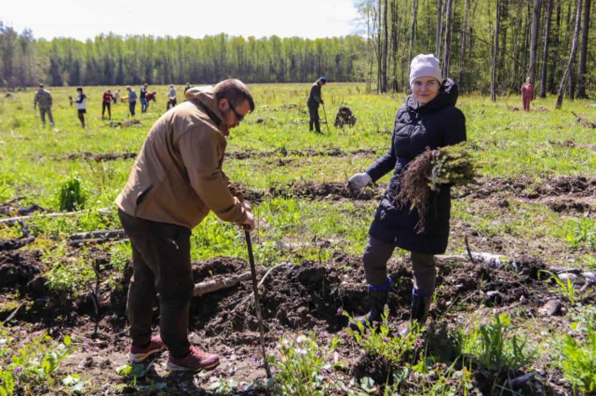    В Калужской области пройдет эко-историческая акция «Сад Памяти»