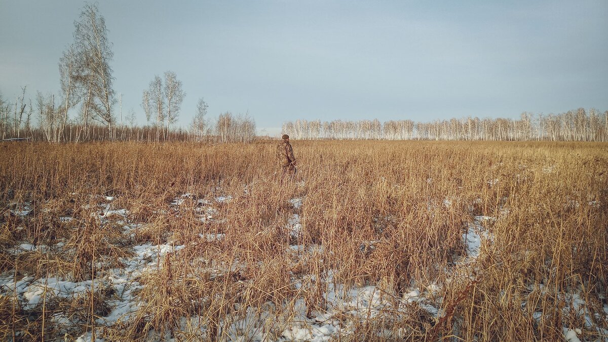     Вдруг охотник выбегает — «погранцы» за ним шагают: о том, где этой весной жители Приморья будут охотиться, необходимо сообщить в ФСБ. Это нужно для того, чтобы не получить «административку» в случае, если охотничьи угодья находятся в погранзоне.