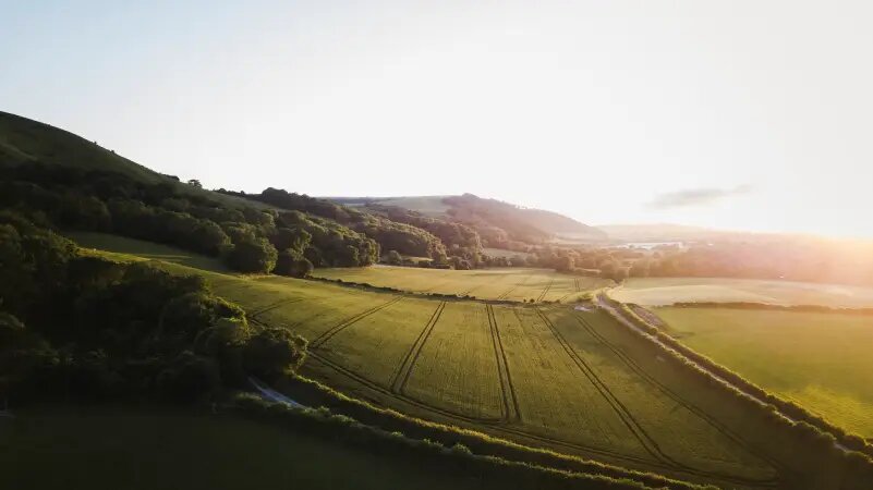    Фото: Sam Knight / unsplash.com