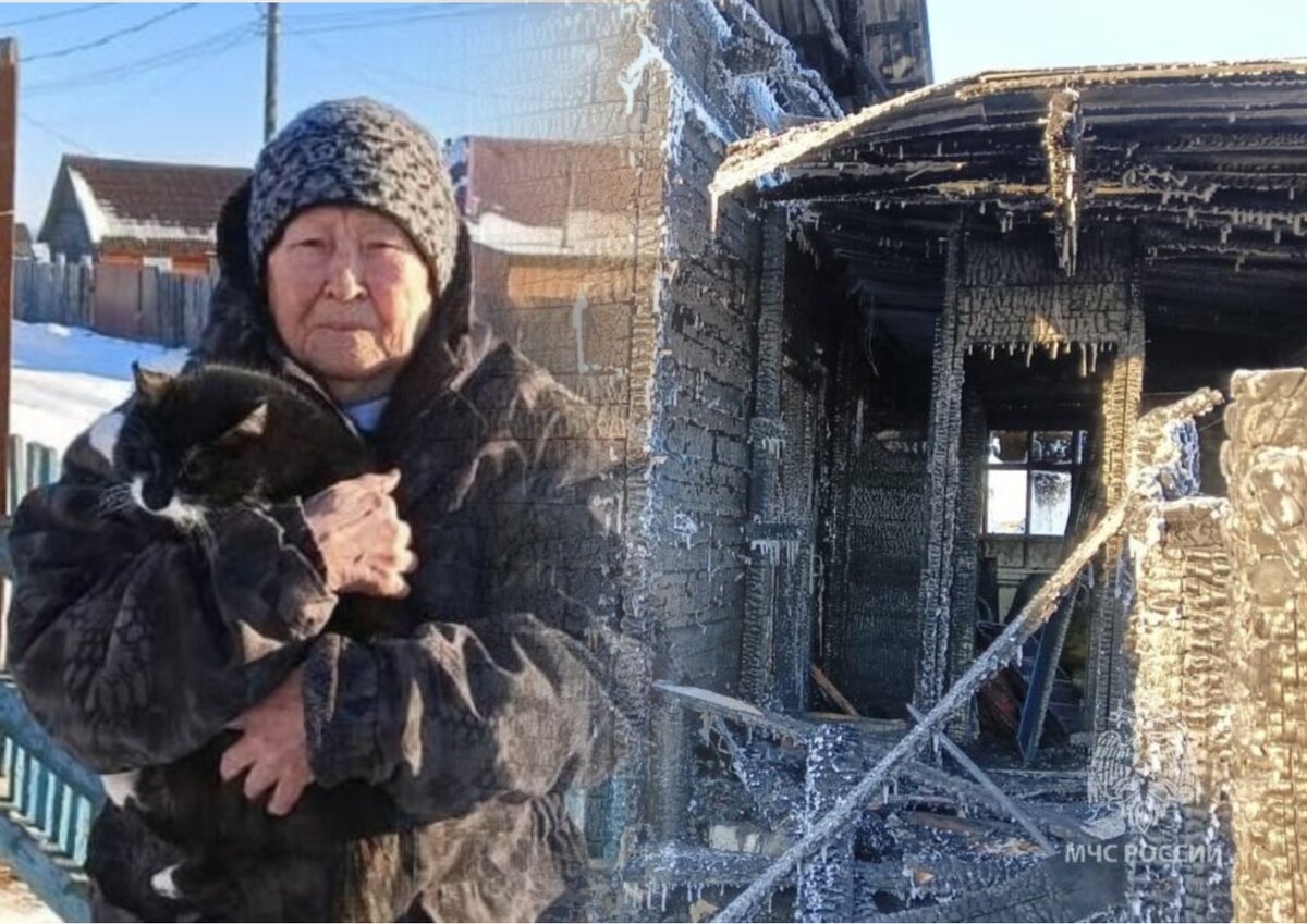 Фото: МЧС России / Коллаж МК в Новосибирске