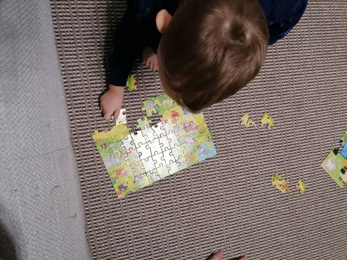 В нашел доме стало очень много пазлов. 