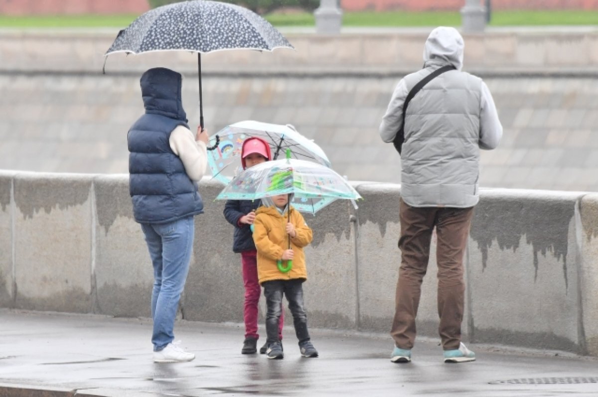    Метеоролог Шувалов предрек пасмурные выходные в Москве