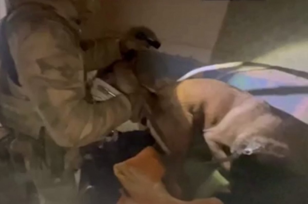    ФСБ показала видео обнаружения тайника украинского агента в Бердянске