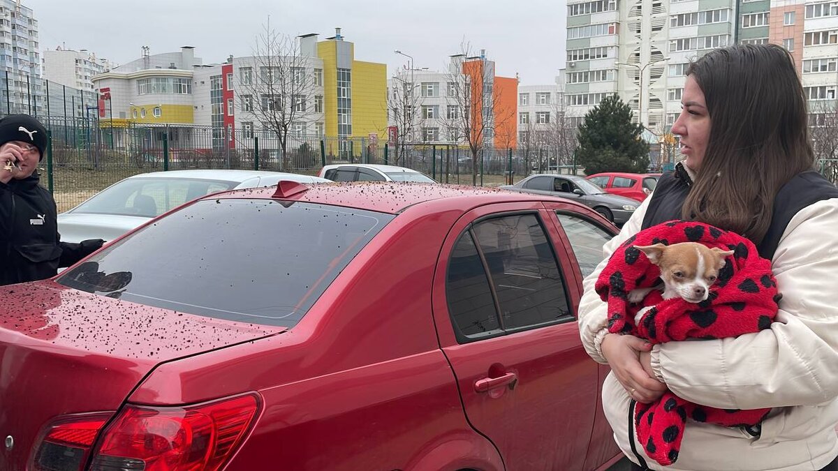 Двоих пострадавших с осколочными ранениями и закрытой ЧМТ доставили в больницу 