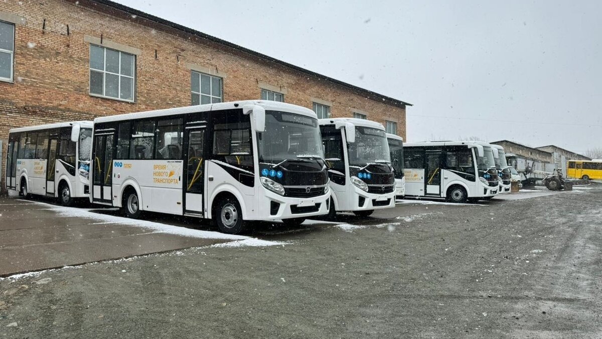 Муниципальных автобусов в Артёме становится больше | Восток-Медиа | Дзен