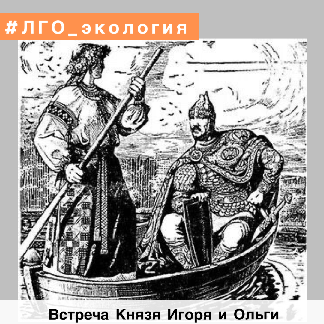 БОГАТСТВО ДОЛИНЫ ПАХРЫ: ЯТРЫШНИК ШЛЕМОВИДНЫЙ | Ленинский Совет Активистов |  Дзен