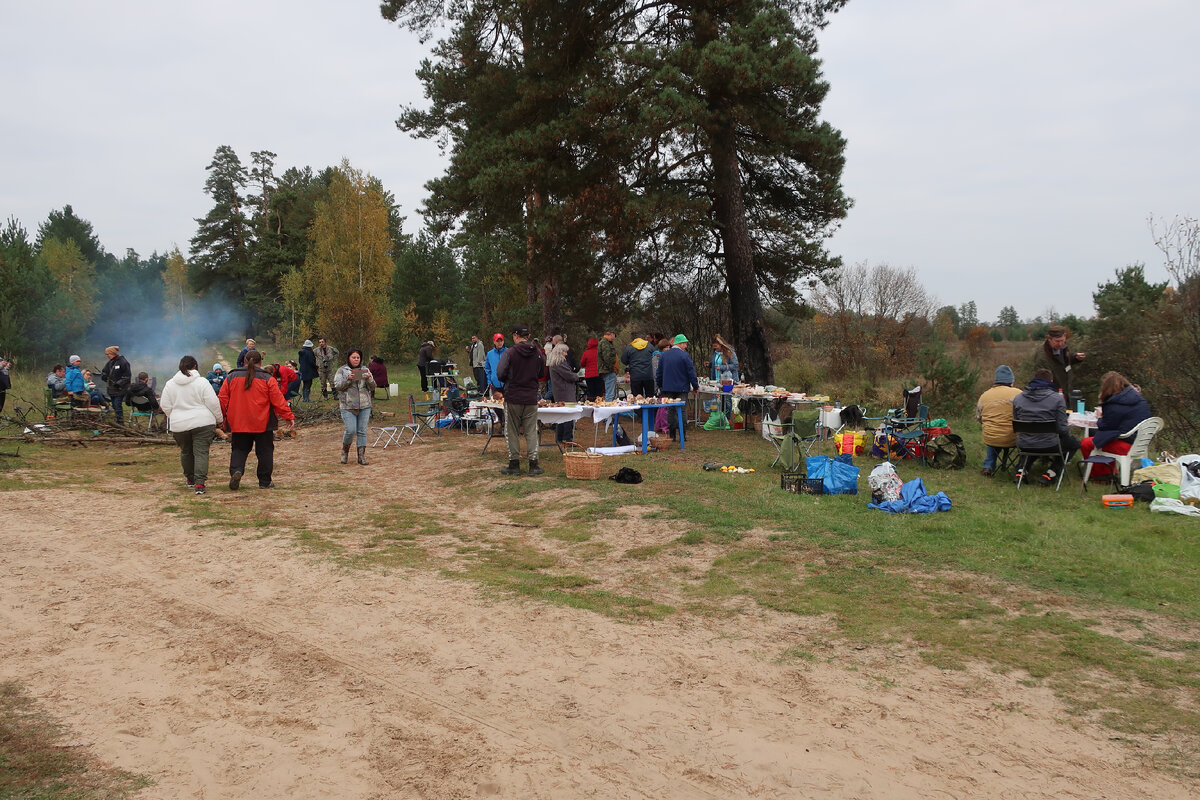 Вот она, поляна слёта. Пропасть, на дне которой Шерна плещет мутный вал, где-то за соснами переднего плана (фото И.Лебединского)